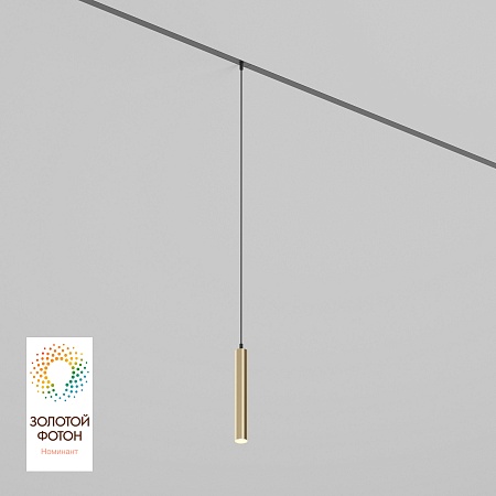 Светильник на шине Denkirs SMART SPOT DK8008-BG - фото