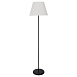 Торшер Arte Lamp ALEA A5068PN-1BK - фото