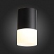 Светильник потолочный Черный LED 1*10W 3000K 780Lm Ra>80 120° D78xH135 170-240VV ST100.402.10 - фото