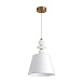 Подвесной светильник Freya FR2064PL-01BS - фото