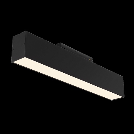 Трековый светильник Technical BASIS TR012-2-12W3K-B - фото