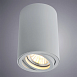 Точечный накладной светильник ARTE LAMP A1560PL-1GY - фото