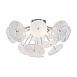 Люстра Freya FR5274CL-06CH - фото