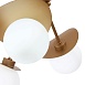Светильник потолочный Золотистый/Белый G9 5*5W SLE220502-05 - фото
