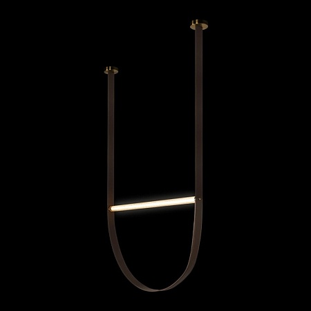 10221/2050 Подвесной светильник LOFT IT Liana - фото