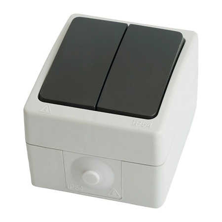 Выключатель 2-клавишный, STEKKER, PSW10-121-54, открытой установки, 250В, 10А, IP54, серый/графит - фото