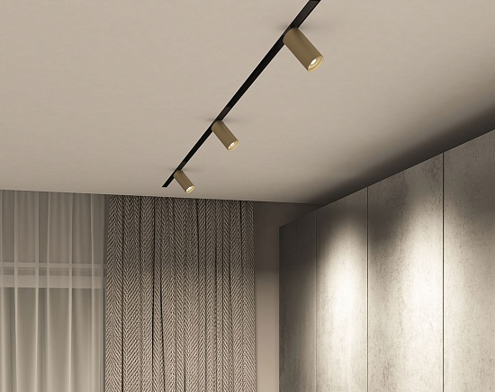 Светильник на шине Denkirs SMART SPOT DK8010-BG - фото