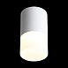 Светильник потолочный Белый LED 1*5W 3000K 390Lm Ra>80 120° D64xH110 170-240V ST100.502.05 - фото