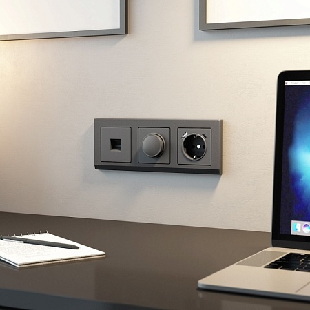Розетка Ethernet RJ-45 (графит матовый) W1181064 - фото