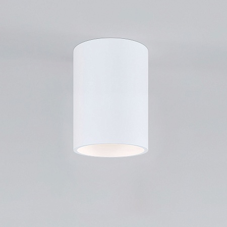 Накладной потолочный светильник 25011/01 Elektrostandard - фото