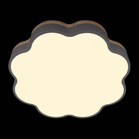 10225/36 Grey Потолочный светильник LOFT IT Axel - фото