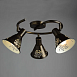 Спот Arte Lamp CONO A5218PL-3BR - фото