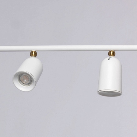 Подвесной светильник DeMarkt Астор 545014005 - фото