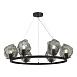 Люстра подвесная ST-Luce Черный/Серо-зеленый E14 6*40W SL1175.403.06 - фото