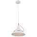 Подвесной светильник Freya Amis FR5025PL-01W - фото