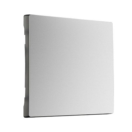 Клавиша для выключателя перекрестного (серебряный матовый) W1119065 - фото