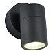 Светильник уличный настенный ST-Luce серый/белый GU10 1*50W SL9008.701.01 - фото