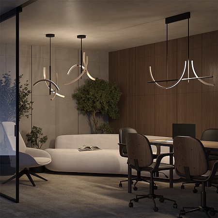 Подвесной светильник Maytoni MOD428PL-L20BK - фото