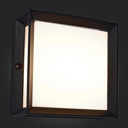 Светильник уличный потолочный ST-Luce Черный/Белый LED 1*12W 3000K SL077.402.01 - фото