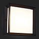 Светильник уличный потолочный ST-Luce Черный/Белый LED 1*12W 3000K SL077.402.01 - фото