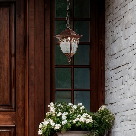 Светильник уличный подвесной ST-Luce Кофейный/Кофейный, Прозрачный E27 1*60W SL083.703.01 - фото