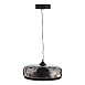 Светильник подвесной ST-Luce Черный/Черный, Дымчатый LED 1*42W 3000K SL6014.403.01 - фото