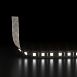 Светодиодная лента 120 Led 9,6 Вт IP20, 6500K холодный белый, 5 м 2835 24V 120Led 9,6W IP20 Black Elektrostandard - фото