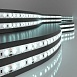 Светодиодная лента 12 В 9,6 Вт/м 120 Led/м 2835 IP65, холодный белый 6500K, 5 м Лента светодиодная 12V 9,6W 120Led 2835 IP65 холодный белый, 5м Elektrostandard - фото