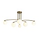 Потолочный светильник Freya Hanger FR5443CL-06BS - фото