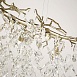 Подвесная люстра Favourite 3056-10P - фото