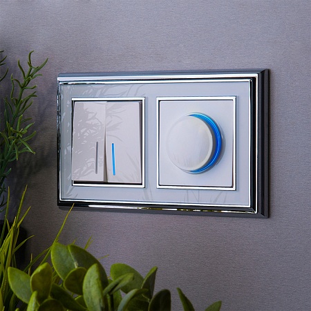 Выключатель  двухклавишный проходной с подсветкой белый WL01-SW-2G-2W-LED - фото