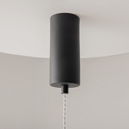 Подвесной светильник Maytoni Ordo MOD272PL-L12B3K - фото