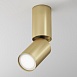 Потолочный светильник Technical FOCUS S C051CL-01G - фото