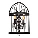 LOFT1891W Бра LOFT IT Vintage birdcage - фото