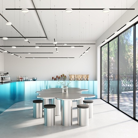 Трековый светильник Technical Zon TR189-1-12W4K-B - фото