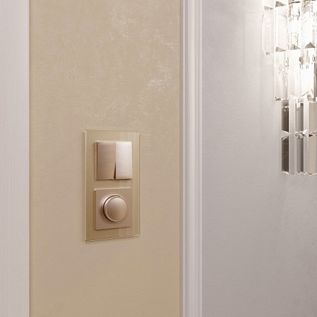 Выключатель двухклавишный шампань WL11-SW-2G - фото