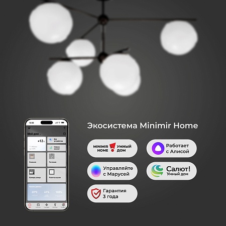 Потолочный светильник Eurosvet 60147/6 черный - фото