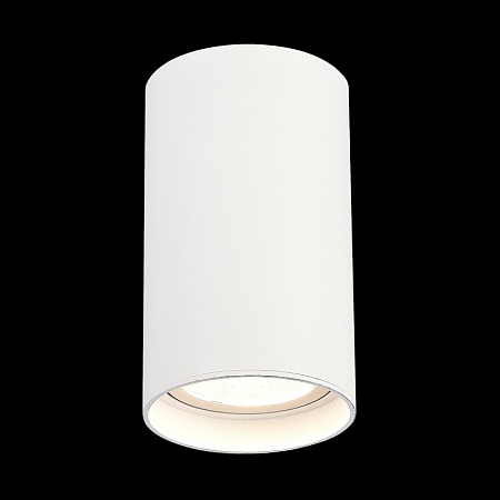 Светильник потолочный Белый LED 1*20W 4000K 1 600Lm Ra>90 60° IP44 D95xH150 220-265V ST157.542.20 - фото