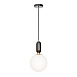 9973-B Подвесной светильник LOFT IT Parachilna - фото