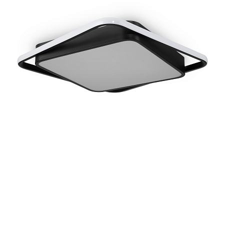 Потолочный светильник Freya FR10030CL-L88B - фото