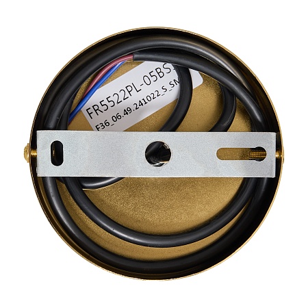 Люстра Freya FR5522PL-05BS1 - фото
