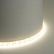 Светодиодная LED лента Feron LS626, 180SMD(2835)/m 17W/m 12V 5m 4000К IP65 - фото
