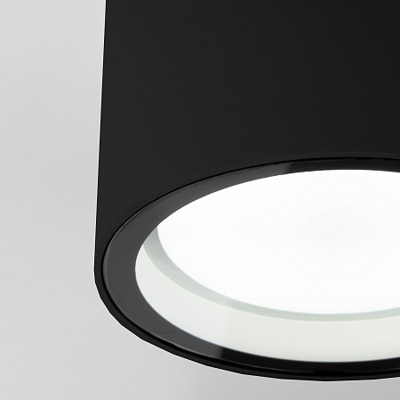 Уличный потолочный светильник Light 26231 IP54 35144/H черный Elektrostandard - фото