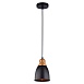 Подвесной светильник Arte Lamp EURICA A4248SP-1BK - фото