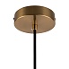 Подвесной светильник Freya Zelma FR8012PL-01BS - фото