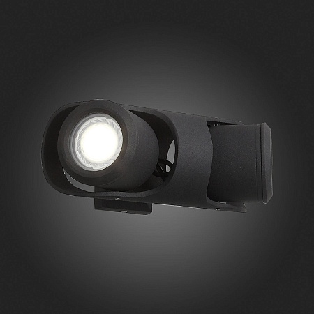 Светильник уличный настенный ST-Luce Черный/Черный, Прозрачный G5,3 2*3W SL093.401.02 - фото