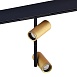 Магнитный трековый светильник Золотистый LED 1*16W 3000K 1 100Lm Ra>90 36° IP20 D45xH24 ST808.236.16 - фото