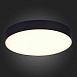 Светильник потолочный Черный LED 1*48W 3000K 4 320Lm Ra>85 120° IP20 D400xH55 185-265V ST606.432.48 - фото