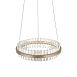 Светильник подвесной ST-Luce Золотистый/Золотистый, Прозрачный LED 1*34W 3000K SL383.203.01 - фото