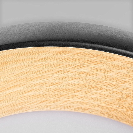 10255/500 Black Потолочный светильник LOFT IT Folk - фото